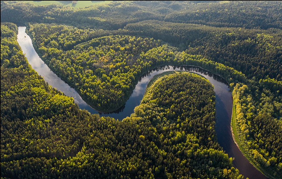 aerial view of the reserva amazonica in the banks of the madres de dios river