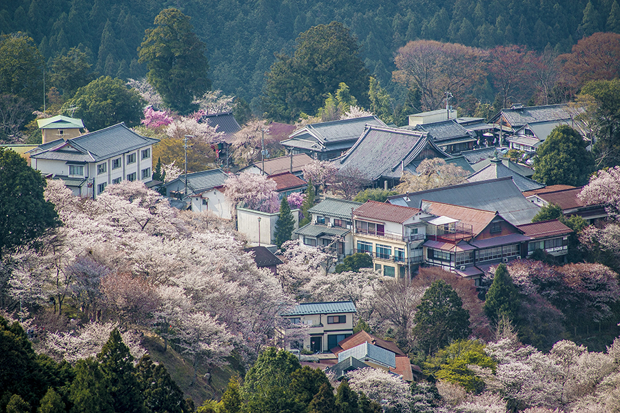 aerial view of Miyajima Island