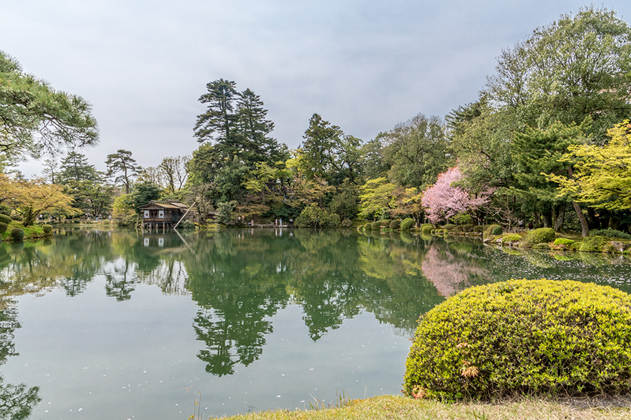 Kanazawa pond with lush greenery surrounding the water