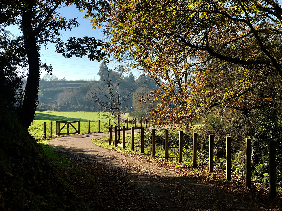 Fence and dirt path in Ponte da Barca, Portugal