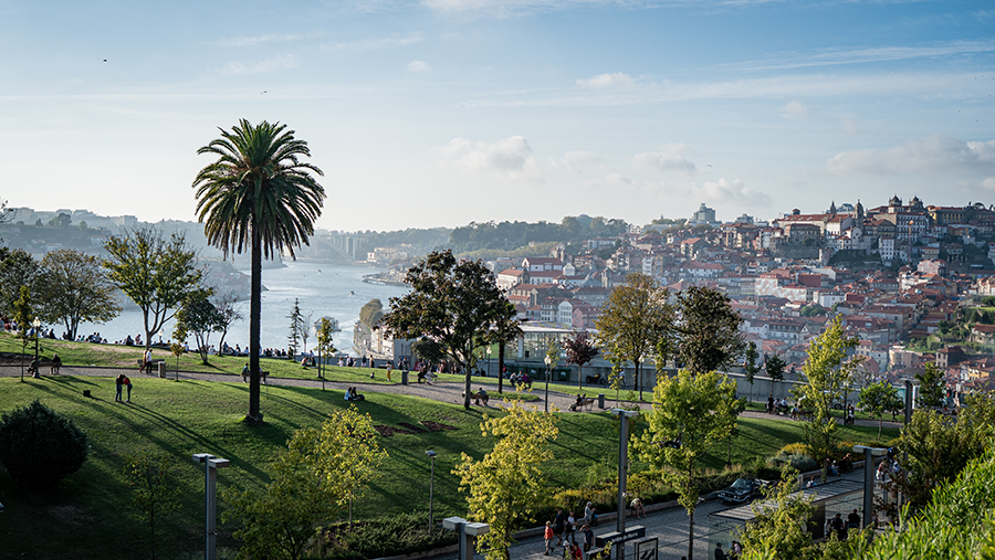 Park hilltop view of the northern Portuguese city of Porto. Park overlooks the Douro river, old city, and blue skyline