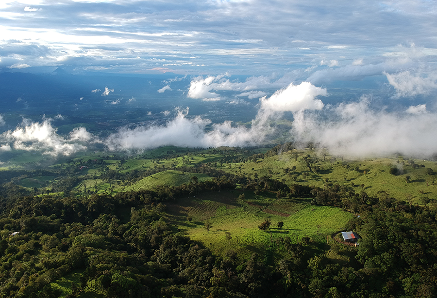 foto aérea da floresta durante o dia foto en costa rica