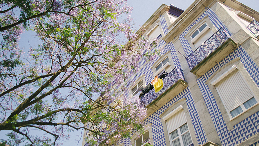 Ground-floor angled shot of a blue-tile mosaic building in port with a purple jacaranda tree on the left side of the image and building