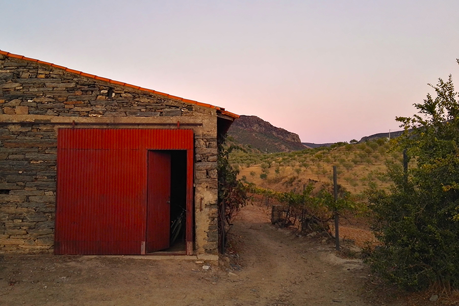 A red gate at the Quinta de Joanamigo designed by Alfredo Matos Ferreira